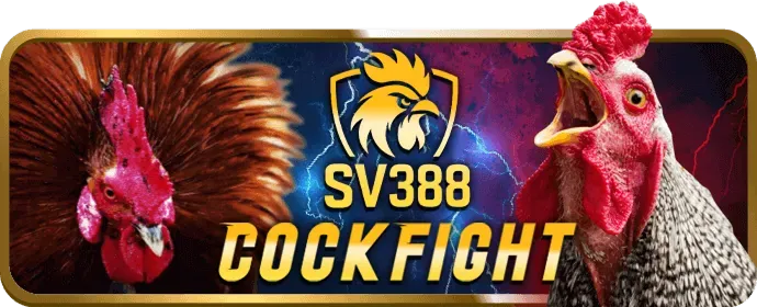 Youtube tg88 casino